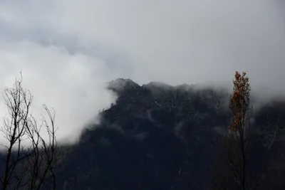 DSC_0881 (Large).JPG